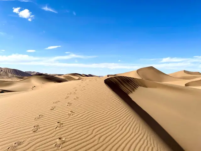 砂漠の心臓を横断する-アラシャン