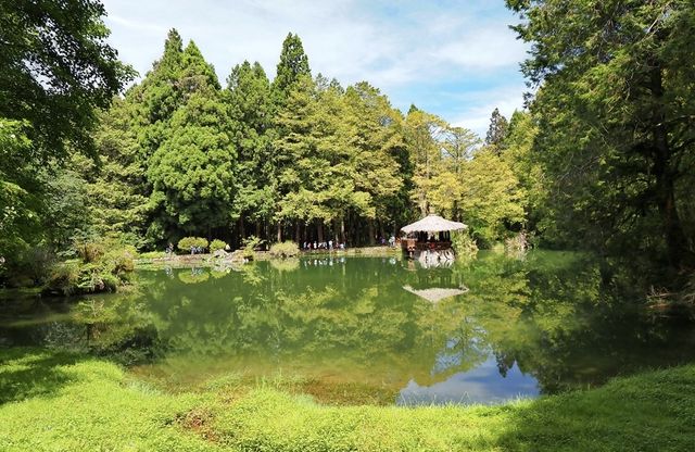 台灣最受歡迎森林遊樂園