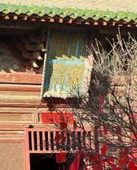 山西陽高雲林寺