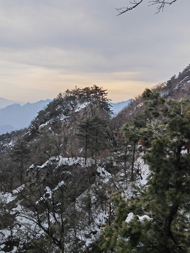 3月的老君山