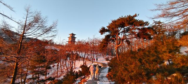 今日泰山日出比徐志摩的少了一層雲海