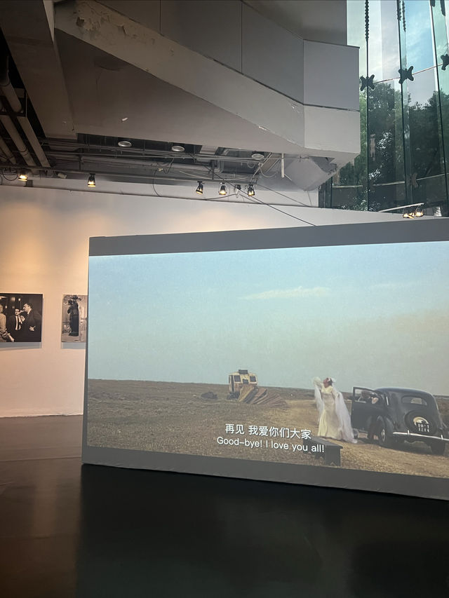 在電影展裡看了個電影