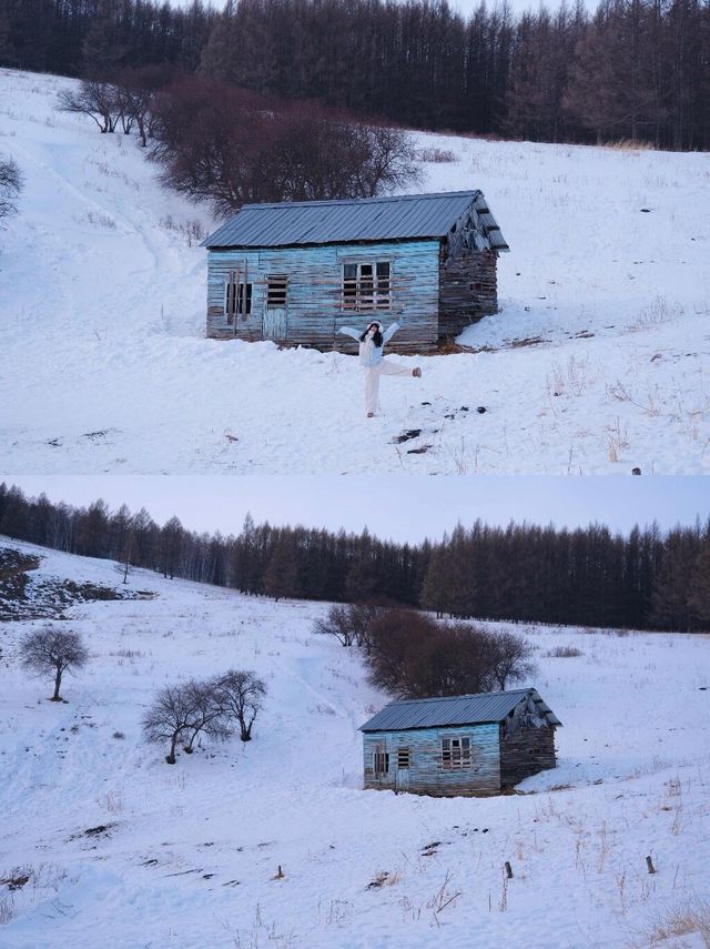 一篇寫給阿爾山