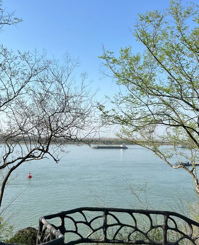 南京｜四月千萬別來燕子磯公園不然你會…