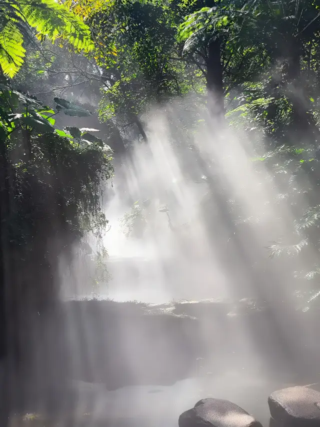 Experience summer early in Xiamen