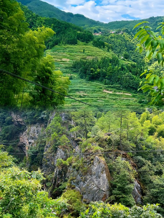 探險記：追尋石門灘的翠綠奇景