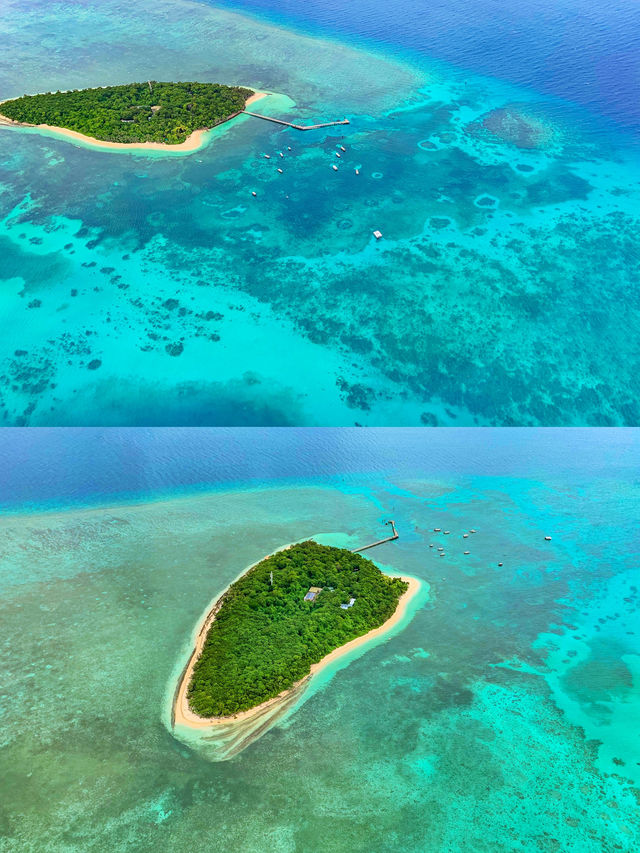 凱恩斯最棒的空中之旅：外堡礁直升機探秘！