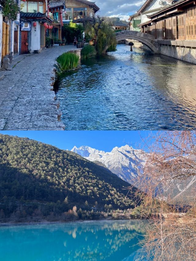 雲南麗江|麗江古城花香已滿城