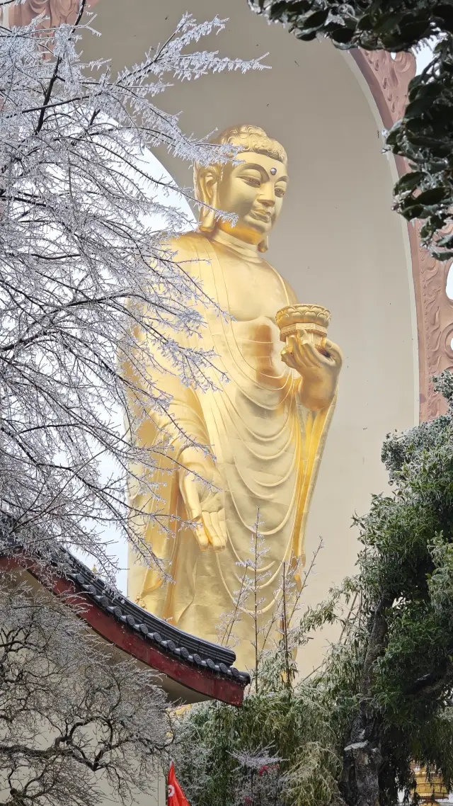 最美の雪景色｜春の凍雨が覆う東林寺の浄土苑
