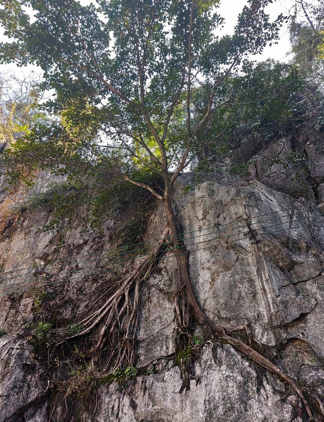 桂林香火最旺的寺廟，藏著鬼斧神工的萬佛岩！