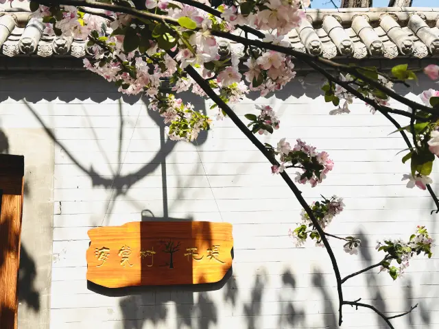 알고 있는가, 알고 있는가, 해당화는 여전히 아름답다～