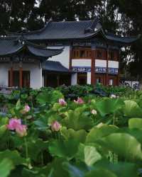 周末親子好去處！！！