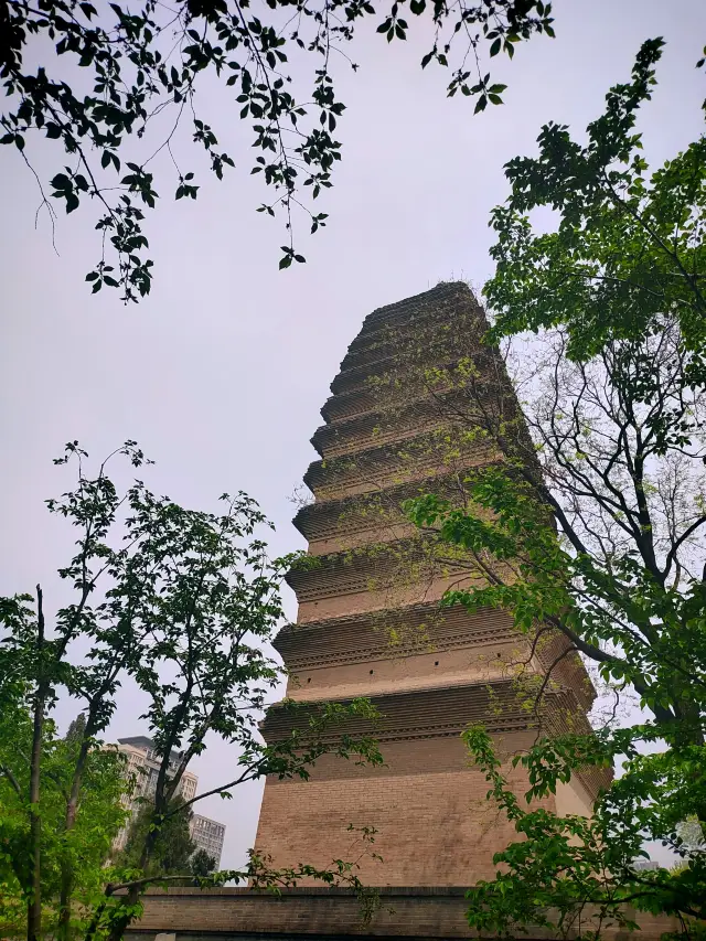 If you can't make a reservation at Shaanxi History Museum, come here first to take a look