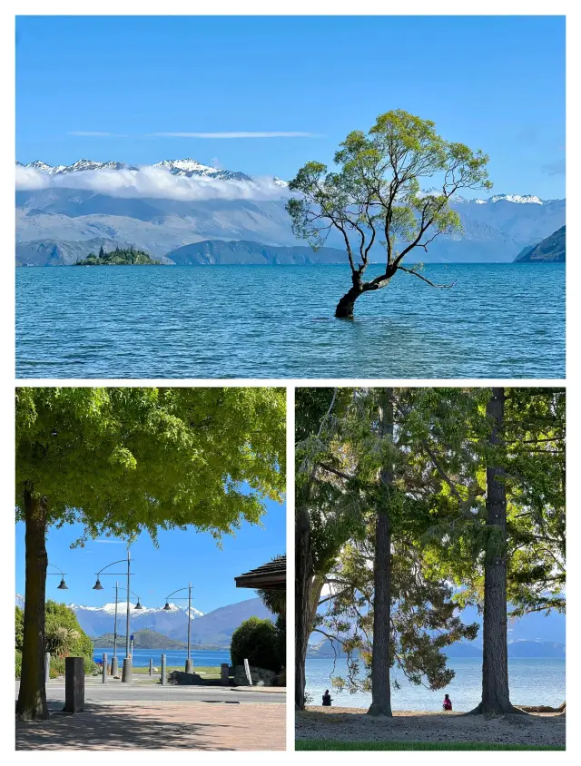 New Zealand | Wanaka is so beautiful, here's a guide on how to enjoy it