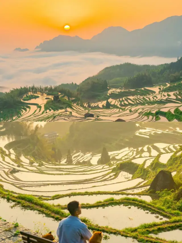 처음으로 여수에 와서 구름 바다 일출에 감동받았다