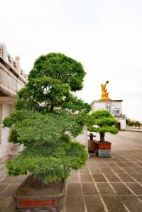 參訪會稽山兜率天景區