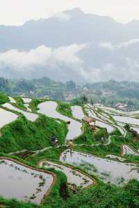 五一出遊好去處麗水雲和梯田