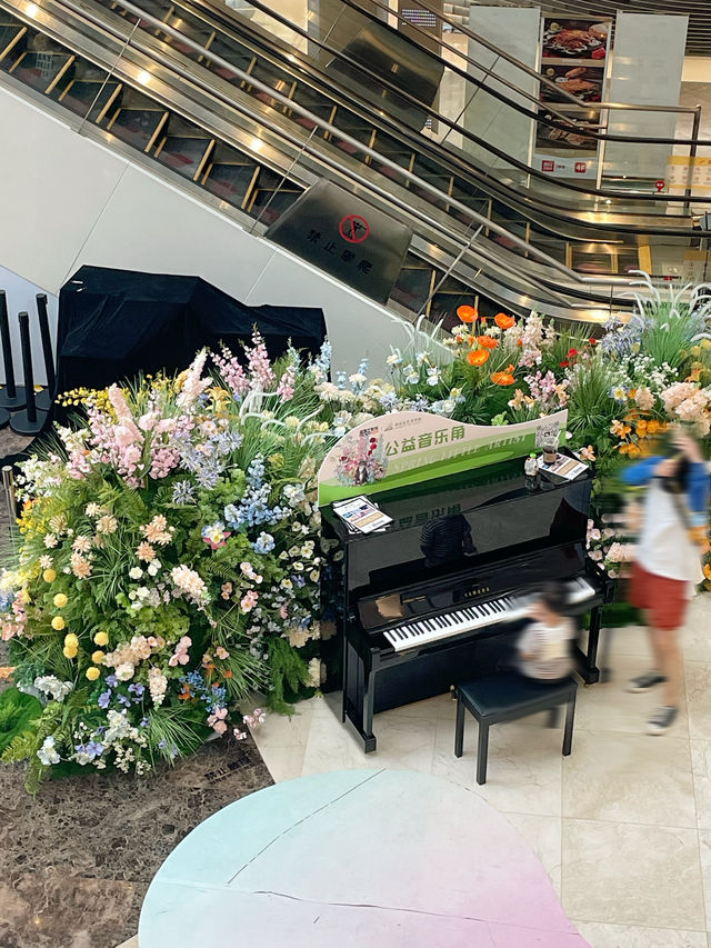 成都拍照！！！夏日蝴蝶鮮花展！！！