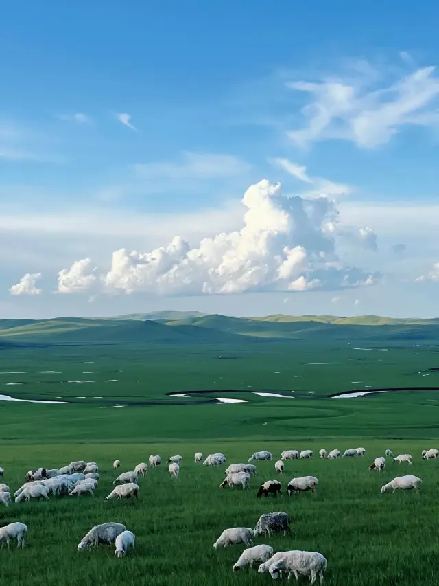 Day1 ถูกฮูลุนเบียร์รักษาให้หายดี