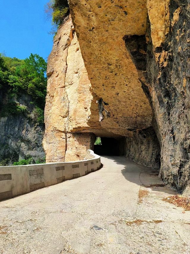 國家地理奇觀—漢中禪家岩天坑