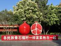 春回大召，陽光正好