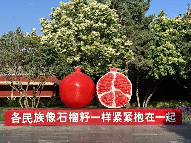 春回大召，陽光正好