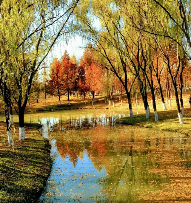 西安的秋天，這個地方美成一幅油畫
