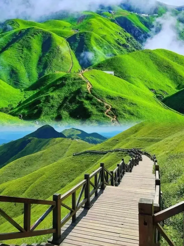 Travel light and take the reverse route to see the less crowded and beautiful green Wugong Mountain