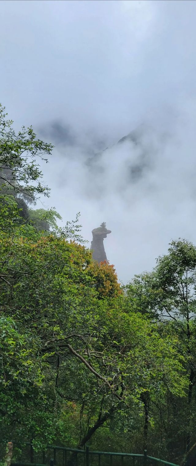 聖堂山