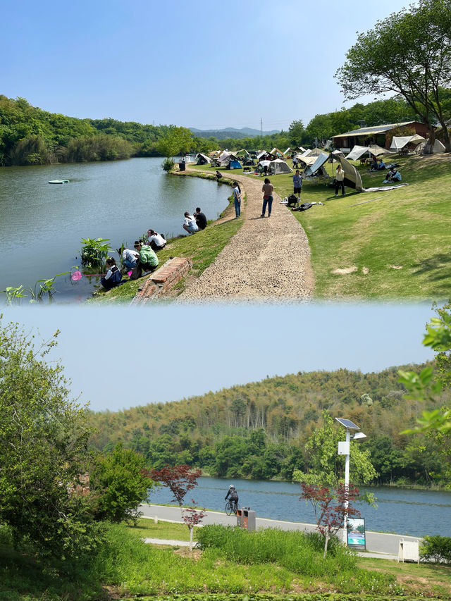 南京小眾秘境免費遛娃露營地