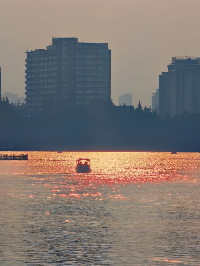 玄武湖畔，黃昏如畫，醉美時光悄然綻放！