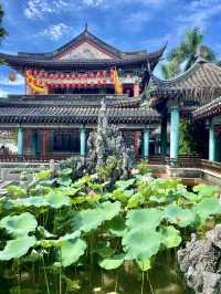誤入藕花深處，深圳小蘇杭，古城荷花