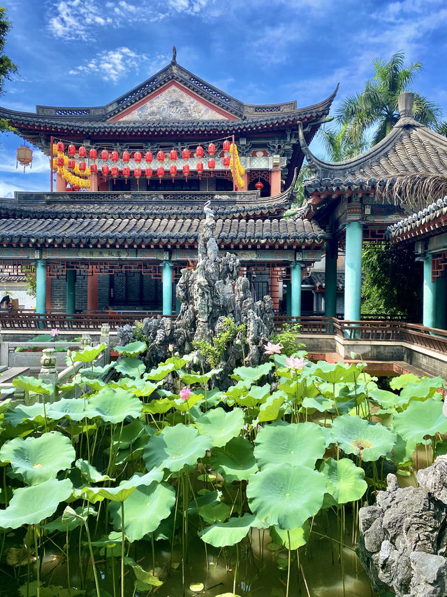 誤入藕花深處，深圳小蘇杭，古城荷花