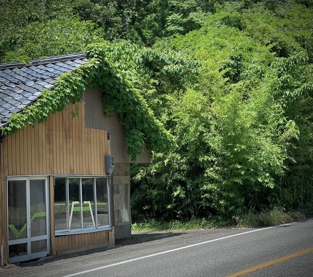 日本 福井 荒矶遊步道