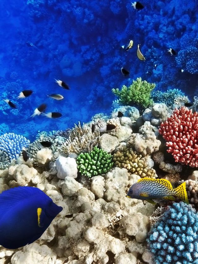 🌟 Ningbo's Top Family-Friendly Attractions Unveiled 🎢🐬🎡