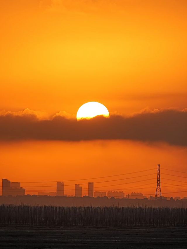 仙遊十里長堤．海上日出