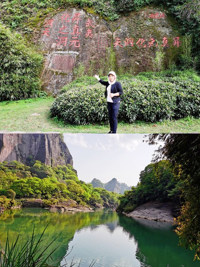 岩石清澈，樹木翠綠，茶香四溢，武夷山國家公園的真實體驗