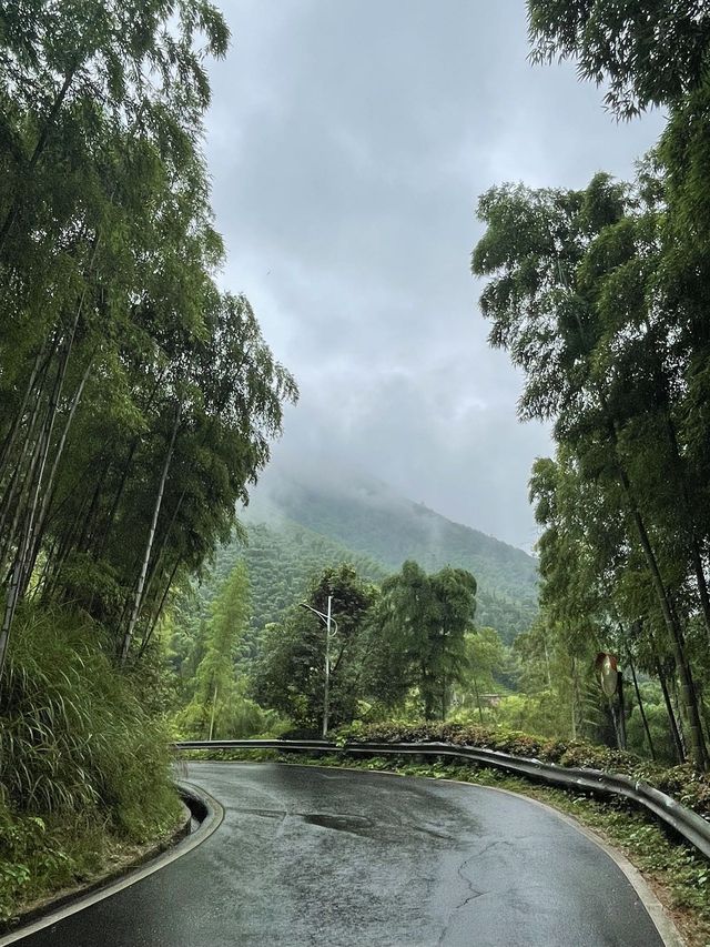 這個夏天總要來一趟莫干山吧