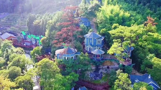 天然氧吧，避暑納涼：福安棕樹山