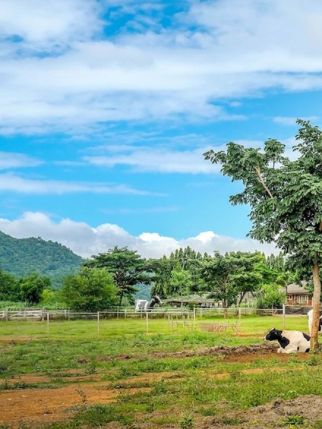 🌿✨ Enchanting Escapes at InterContinental Khao Yai 🏞️🛤️