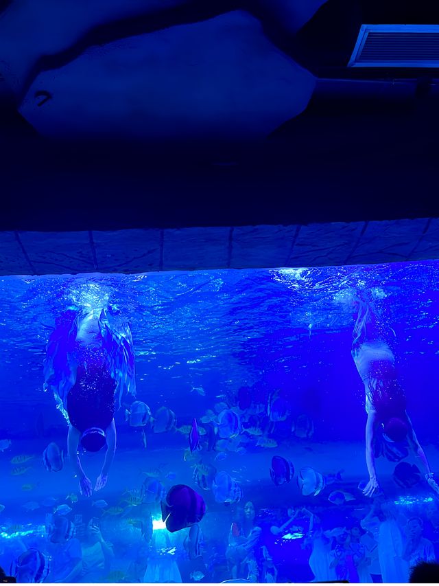東莞藍色夢境 | 超出片的海洋館