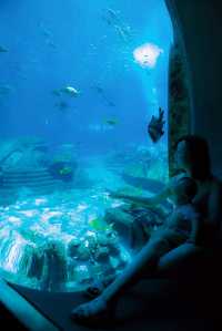 來施特拉爾松德水族館遊玩