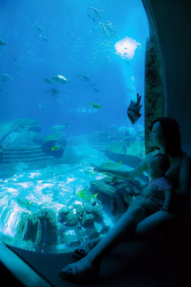 來施特拉爾松德水族館遊玩