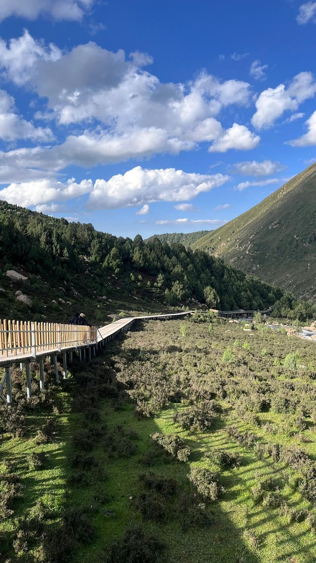 河西秘境—天池保姆級攻略
