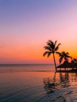 🌴🛏️ Luxe Sleeps in Nayarit: Armony Resort & Spa 🌟