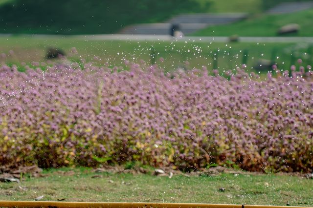 莆田市區最適合遛娃的郊野公園