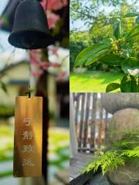 清遠小資民宿•性價比高