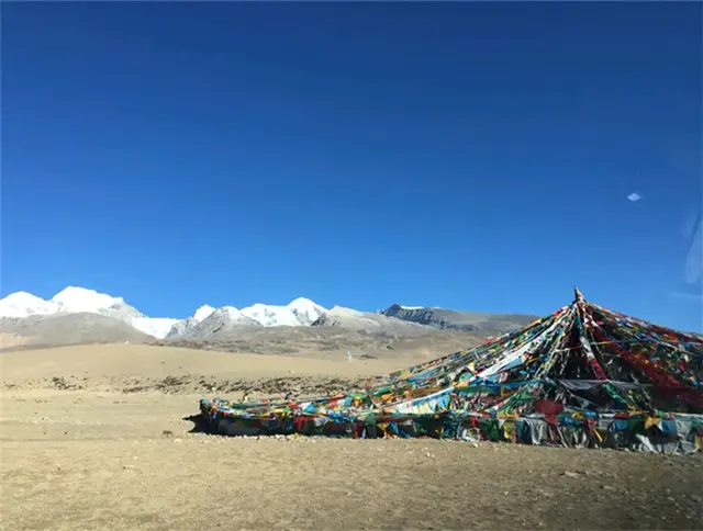 청장 자가운전 여행