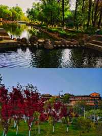 西寧麒麟灣公園——城市的綠洲。