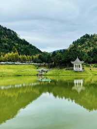 人生是狂野，而非軌道。